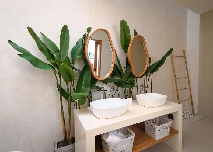 Miko Villa *